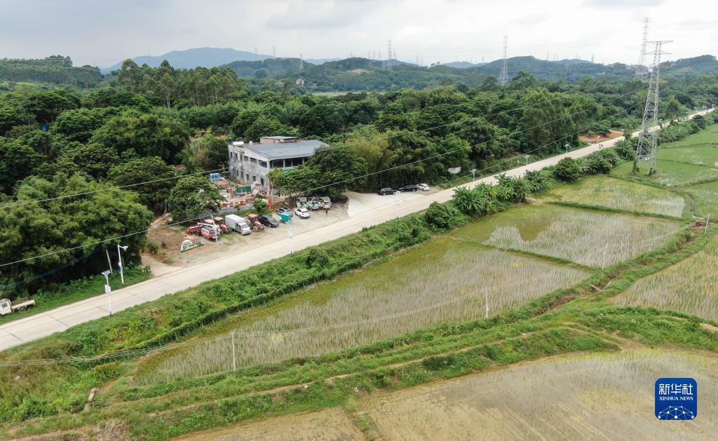 金沙55平台
